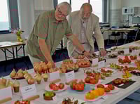  Town flower show celebrates 90th event